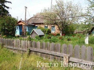 Продам дім з землею 21 сотка, село Литвиновка