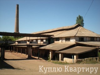 Продам діючий цегельний завод.