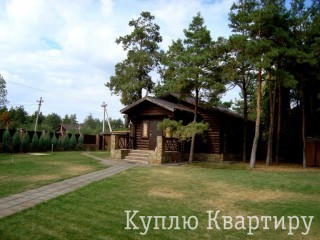 Затишний будинок зі зрубу в Піщанці