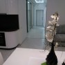 Продажа 3к квартиры с дизайнерским ремонтом в ЖК Панорама
